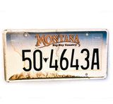 LICENCE PLATE - MONTANA (Official USA CARS)