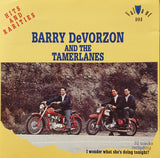 BARRY DeVORZON AND THE TAMERLANES - HITS AND RARITIES 32 Tracks "I wonder what she's doing tonight?" MEGA RARE CD!